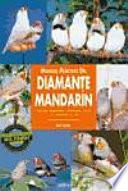 libro Manual Práctico Del Diamante Mandarín