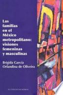 libro Las Familias En El México Metropolitano