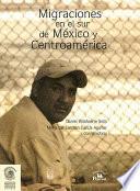 libro Migraciones En El Sur De México Y Centroamérica