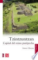 libro Tzintzuntzan