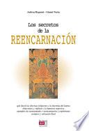 libro Los Secretos De La Reencarnación