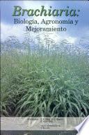 libro Brachiaria  : Biología, Agronomía Y Mejoramiento