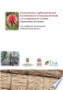 libro Caracterización Y Tipificación Forestal