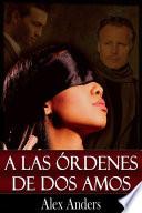 libro A Las órdenes De Dos Amos (macho Alfa, Bdsm, Dominación Masculina Y Sumisión Femenina)