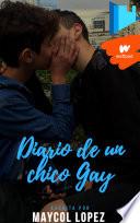 libro Diario De Un Adolescente Gay.