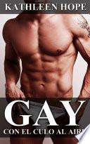 libro Gay: Con El Culo Al Aire