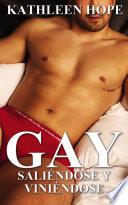 libro Gay: Saliéndose Y Viniéndose