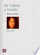 libro De Leibniz A Goethe