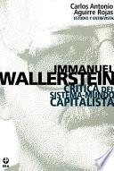 libro Immanuel Wallerstein. Crítica Del Sistema Mundo Capitalista