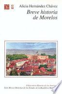 libro Breve Historia De Morelos