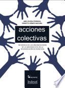 libro Acciones Colectivas En Derecho Mexicano