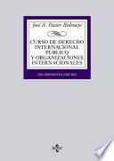 libro Curso De Derecho Internacional Público Y De Organizaciones Internacionales