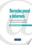 libro Derecho Penal E Internet (e Book)