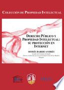 libro Derecho Público Y Propiedad Intelectual: Su Protección En Internet