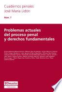 libro Problemas Actuales Del Proceso Penal Y Derechos Fundamentales