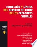 libro Protección Y Límites Del Derecho De Autor De Los Creadores Visuales