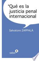 libro Qué Es La Justicia Penal Internacional
