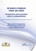 libro Se Busca Familia Para Un Niño. Perspectivas Psico Jurídicas Sobre La Adoptabilidad