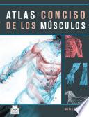 libro Atlas Conciso De Los MÚsculos (color)