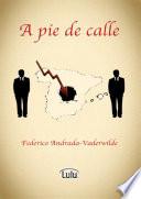 libro A Pie De Calle