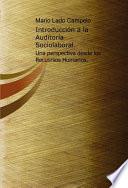 libro Introducción A La Auditoría Sociolaboral: Una Perspectiva Desde Los Recursos Humanos.