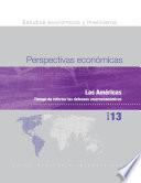 libro Perspectivas Económicas, Mayo De 2013