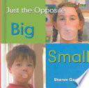libro Big Small