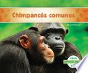 libro Chimpancés Comunes (chimpanzees)
