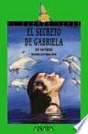 libro El Secreto De Gabriela