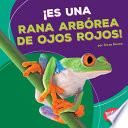 libro ¡es Una Rana Arbórea De Ojos Rojos! (it S A Red Eyed Tree Frog!)