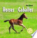 libro Horses/caballos