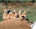 libro Los Perritos De Las Praderas / Prairie Dogs