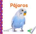 libro Pájaros (birds)