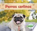 libro Perros Carlinos