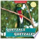 libro Quetzales Y Otras Aves De Latinoamérica