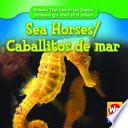libro Sea Horses/caballitos De Mar