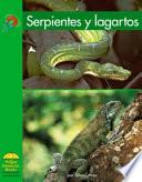 libro Serpientes Y Lagartos