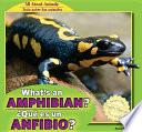 libro What S An Amphibian? / �qu_ Es Un Anfibio?