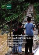 libro AcciÓn Socioeducativa Con Colectivos Vulnerables