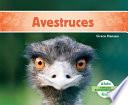Avestruces/ Ostriches