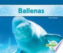 libro Ballenas (whales)