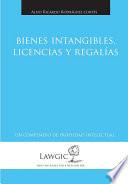 libro Bienes Intangibles, Licencias Y Regalías
