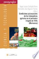 libro Condiciones Psicosociales De Los Trabajadores Agrícolas En El Perímetro Irrigado De Triffa (marruecos)