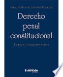 libro Derecho Penal Constitucional. El Principialismo Penal