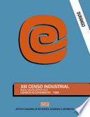 libro Durango. Xiii Censo Industrial. Resultados Definitivos. Censos Económicos 1989