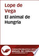 libro El Animal De Hungría