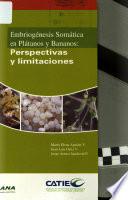 libro Embriogenesis Somatico En Platanos Y Bananos