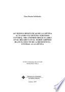 libro Lipostatic Effects Of Leptin Acting Through The Brain: Molecular Mechanisms In Liver And White Adipose Tissue. Effect Of Central Leptin Resistance