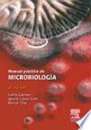 libro Manual Práctico De Microbiología