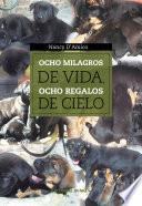 libro Ocho Milagros De Vida, Ocho Regalos De Cielo